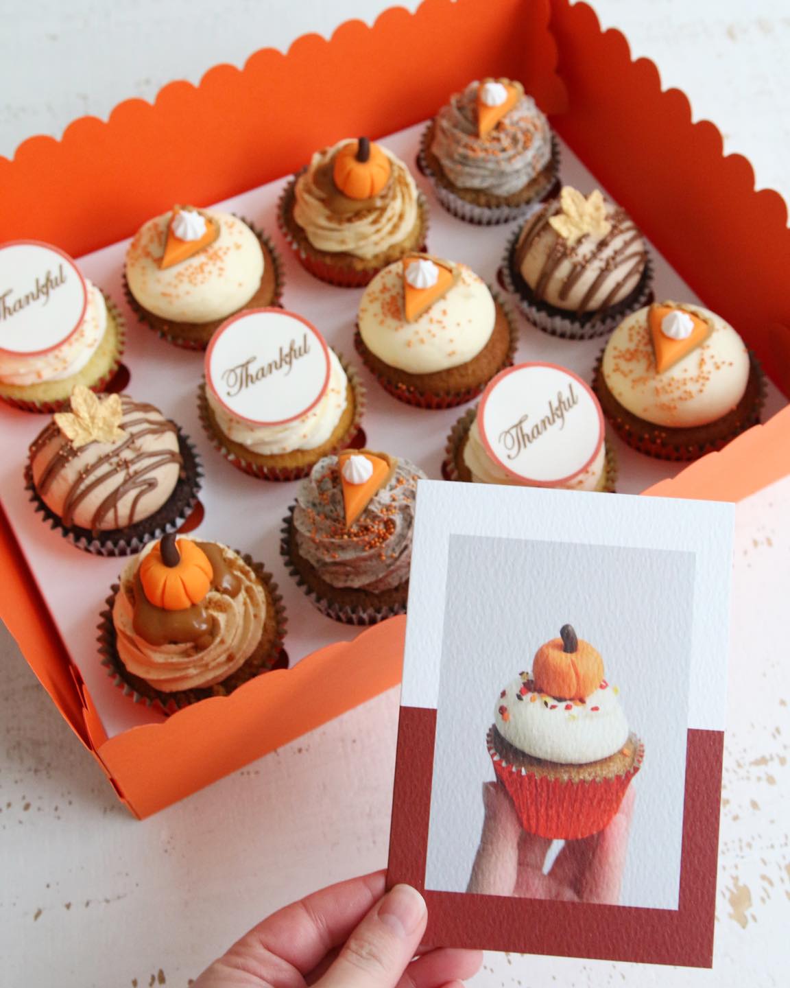 Box of 12 Thanksgiving Cupcakes with a Pumpkin Cupcake Greeting Card