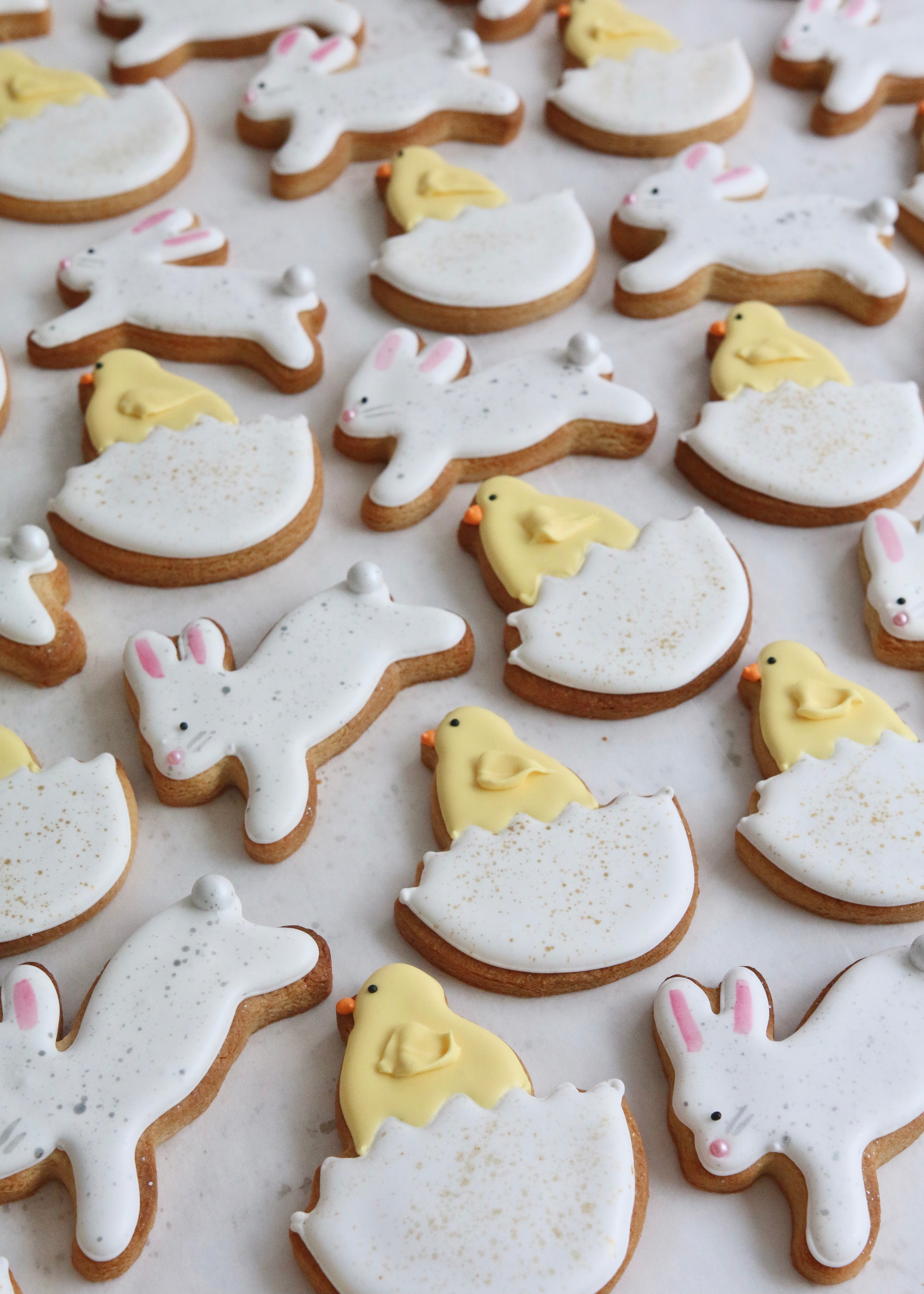 Cheerful Easter Chick Biscuits