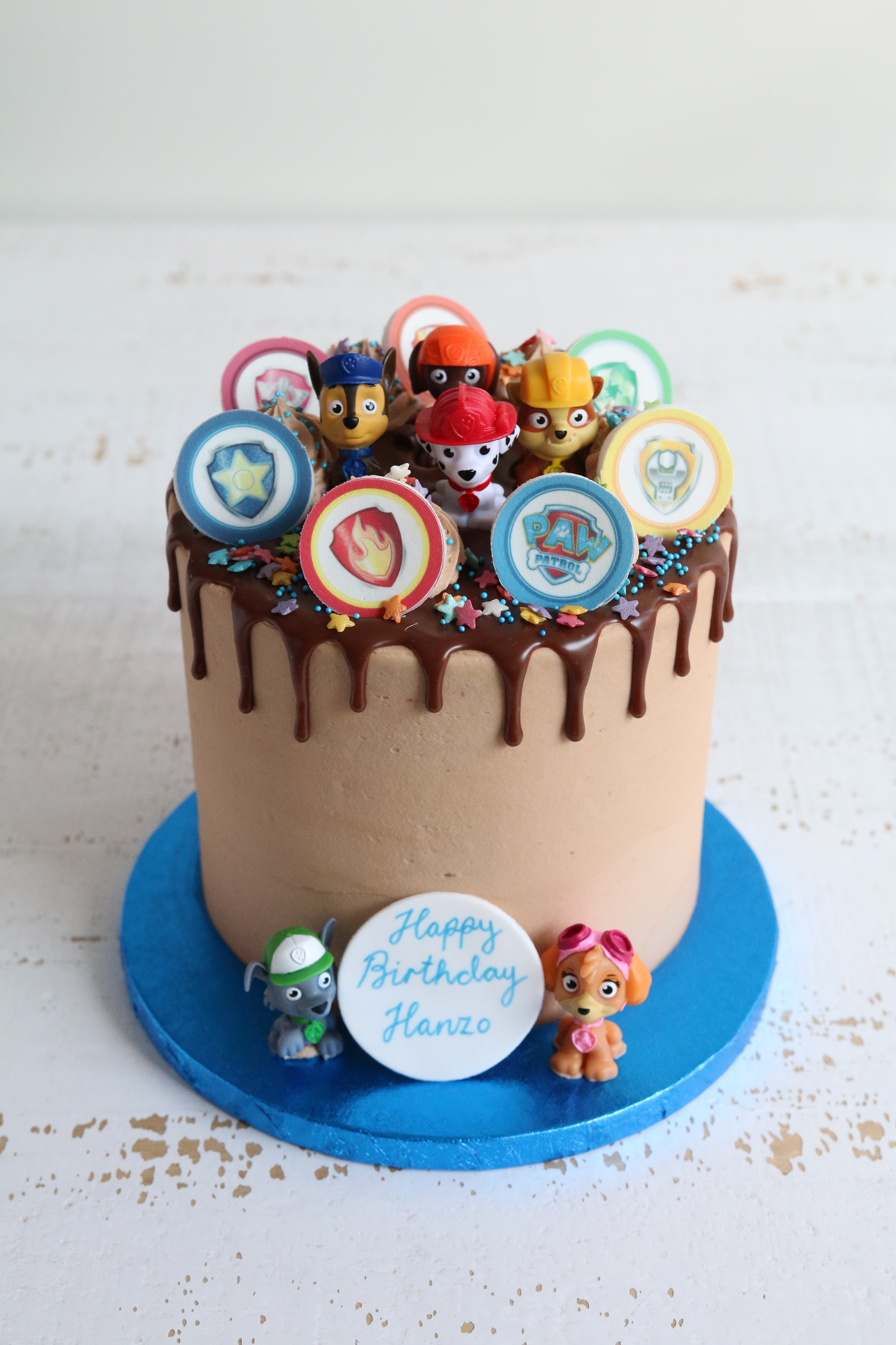 Paw Patrol Drip Cake