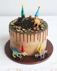 Dinosaur Plastic Toy Figure Drip Cake