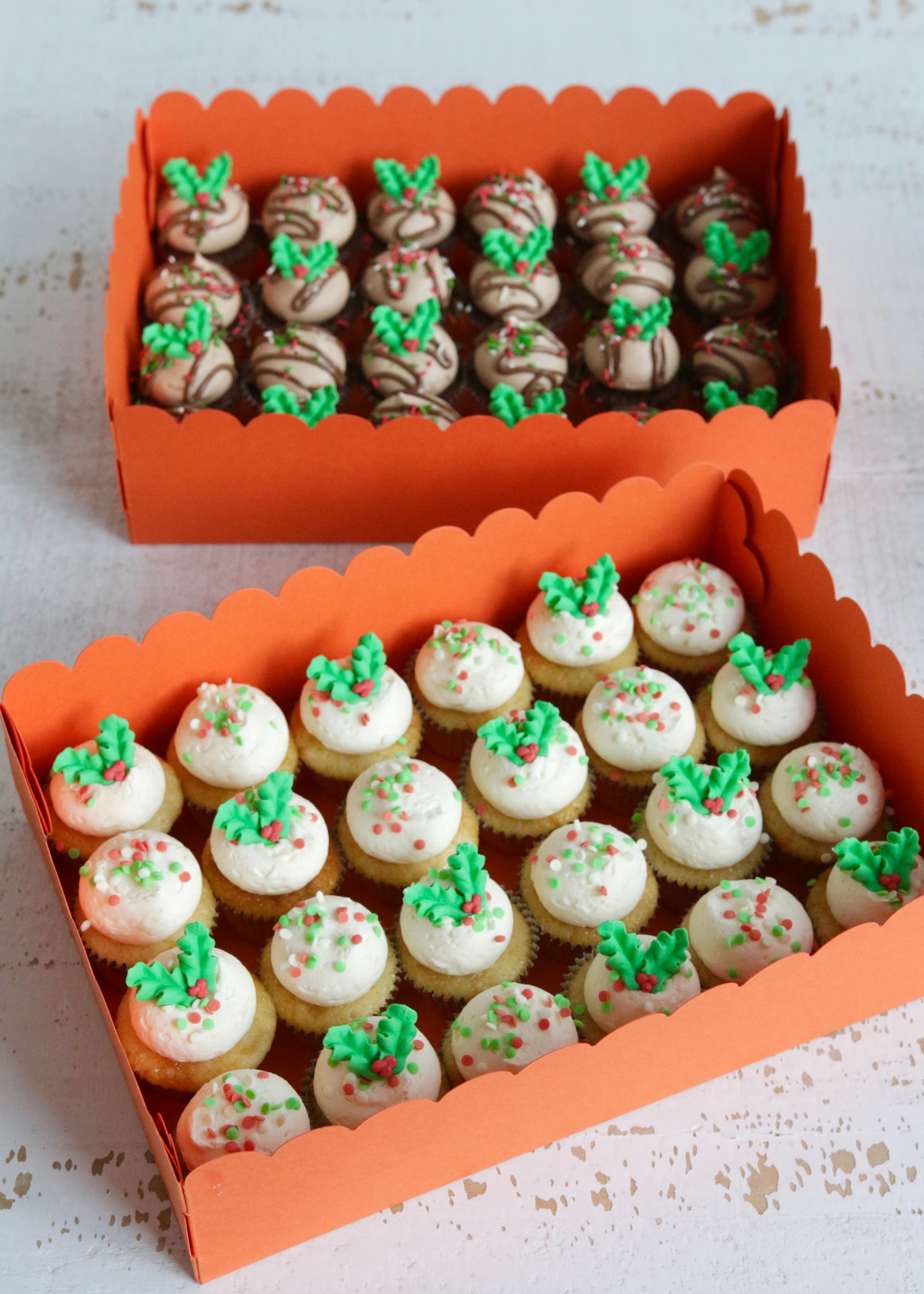 Box of 24 Vanilla Mini Christmas Cupcakes and Chocolate Mini Christmas Cupcakes  with Sprinkles and Holly Decorations