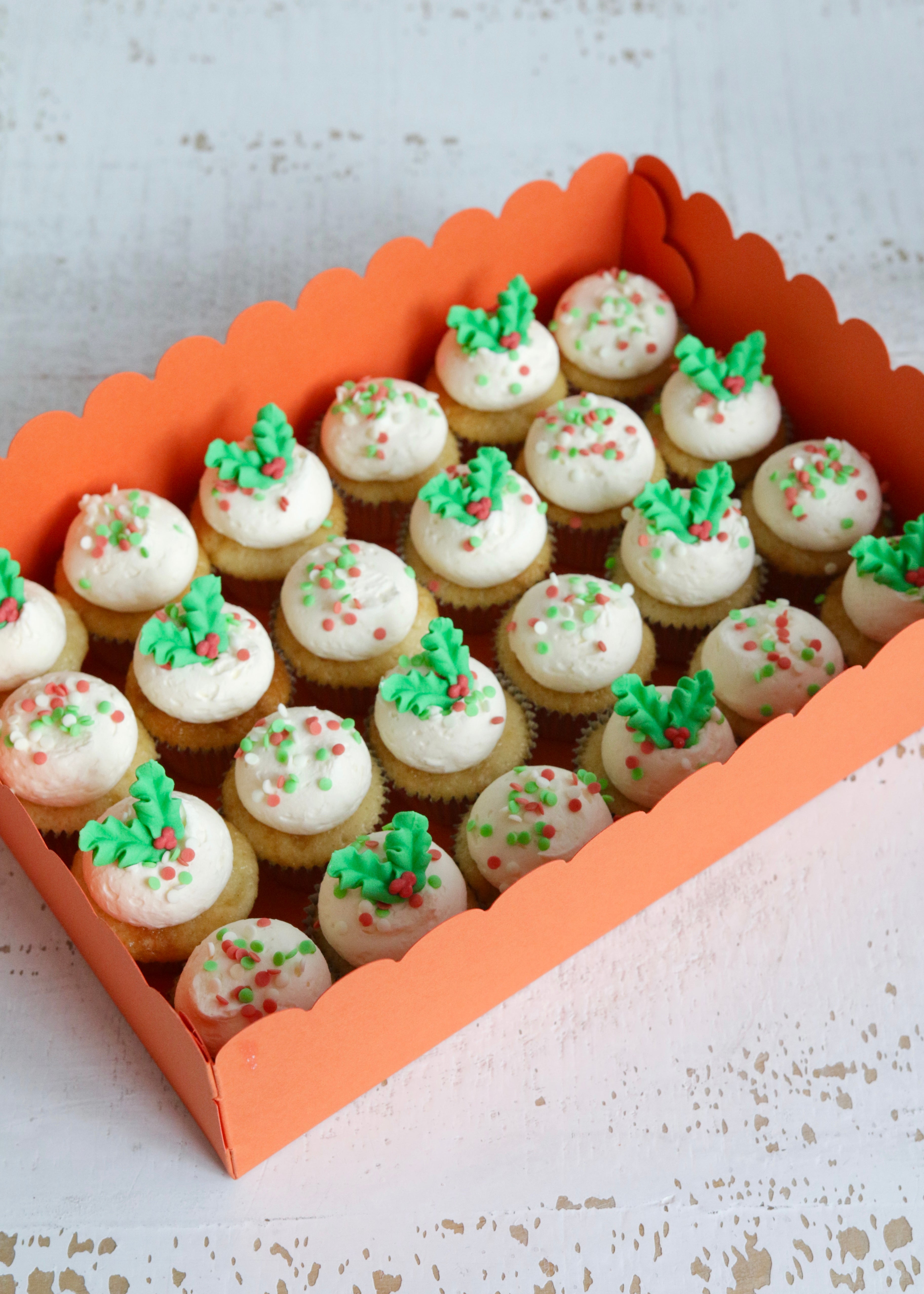 Box of 24 Vanilla Mini Christmas Cupcakes with Sprinkles and Holly Decorations