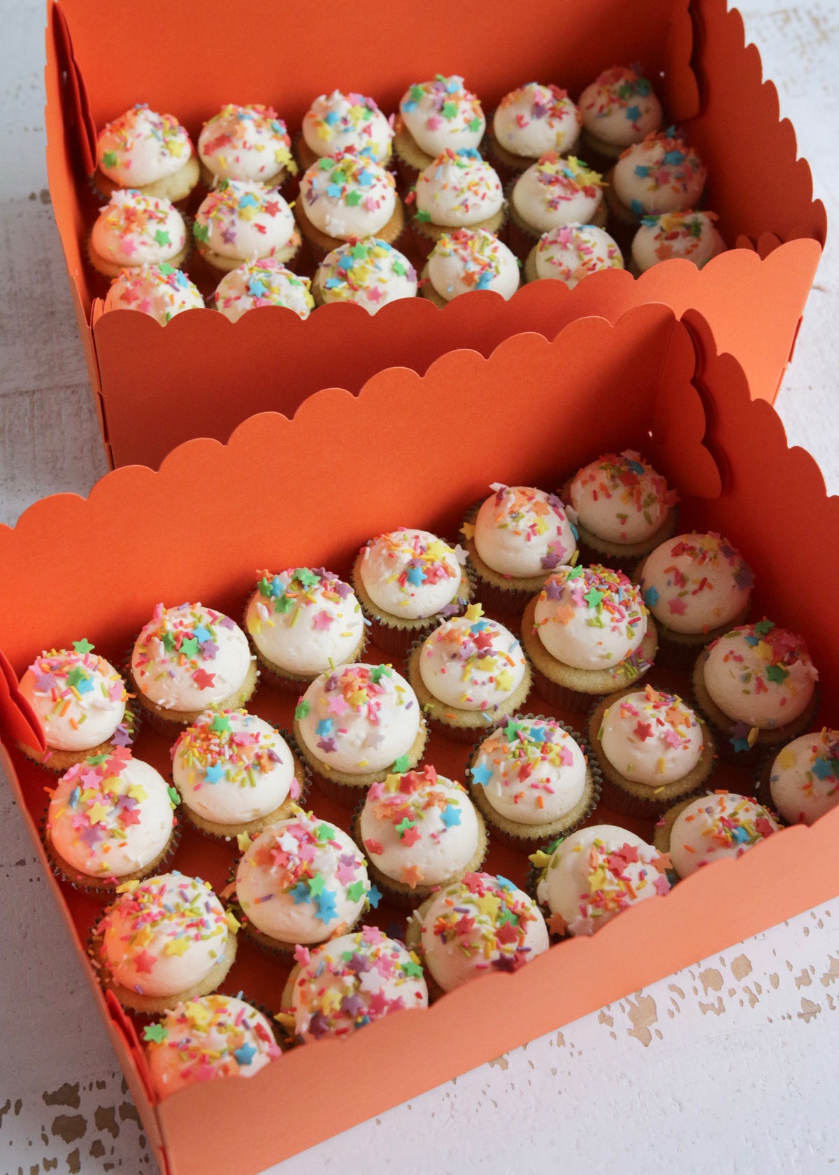 Box of 24 Mini Vanilla Cupcakes