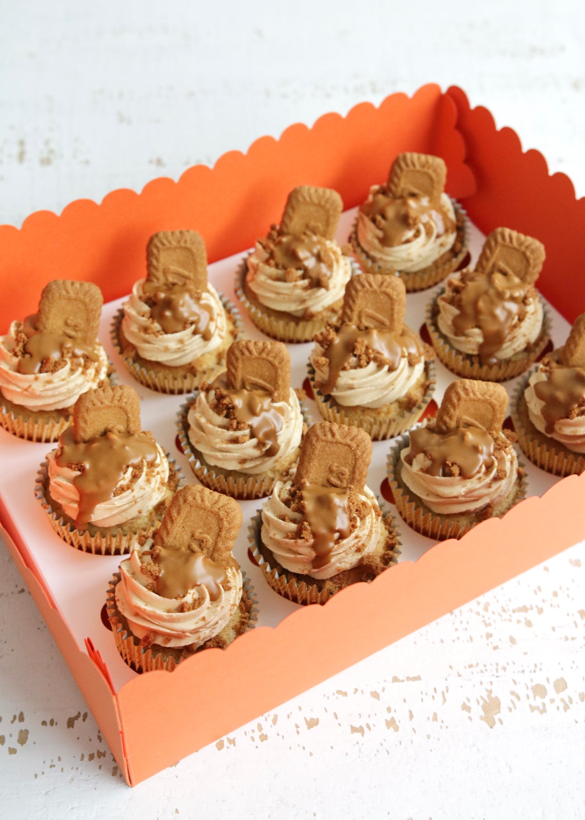 Box of 12 Biscoff Cupcakes