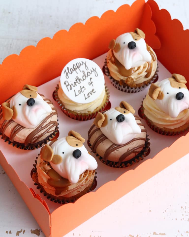 Box of bulldog cupcakes