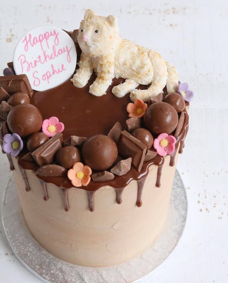 Chocolate Drip Cake with Fondant Cat FIgure on Top