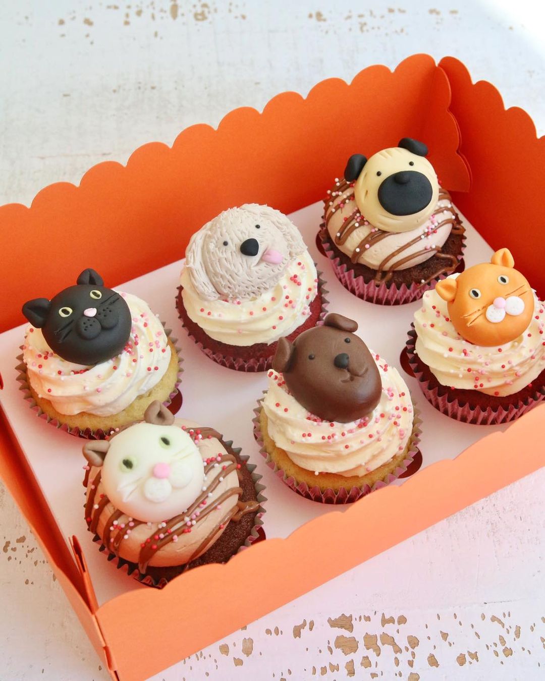 Cat and Dog Cupcakes