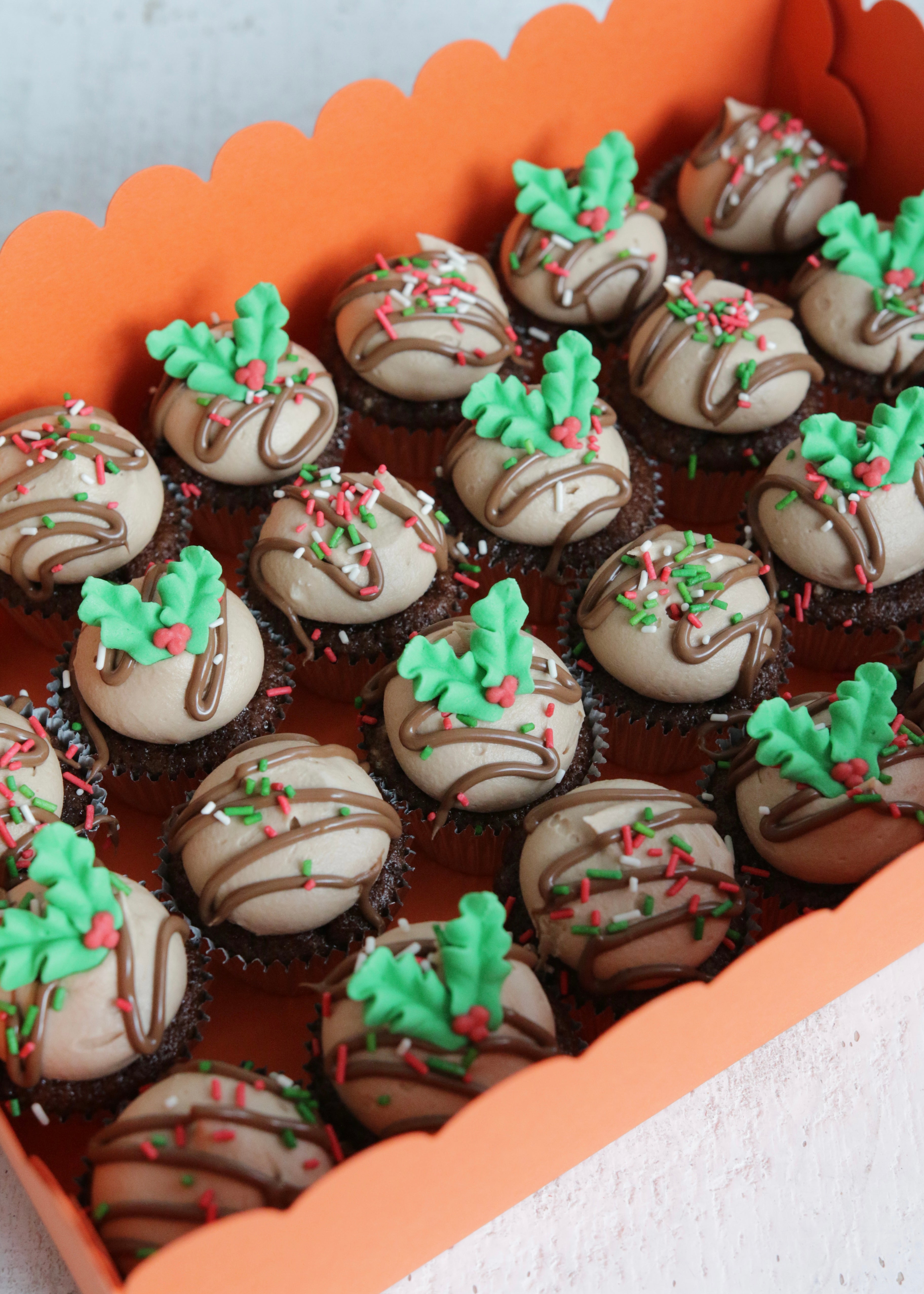 Close Up on Box of 24 Chocolate Mini Christmas Cupcakes with Sprinkles and Holly Decorations