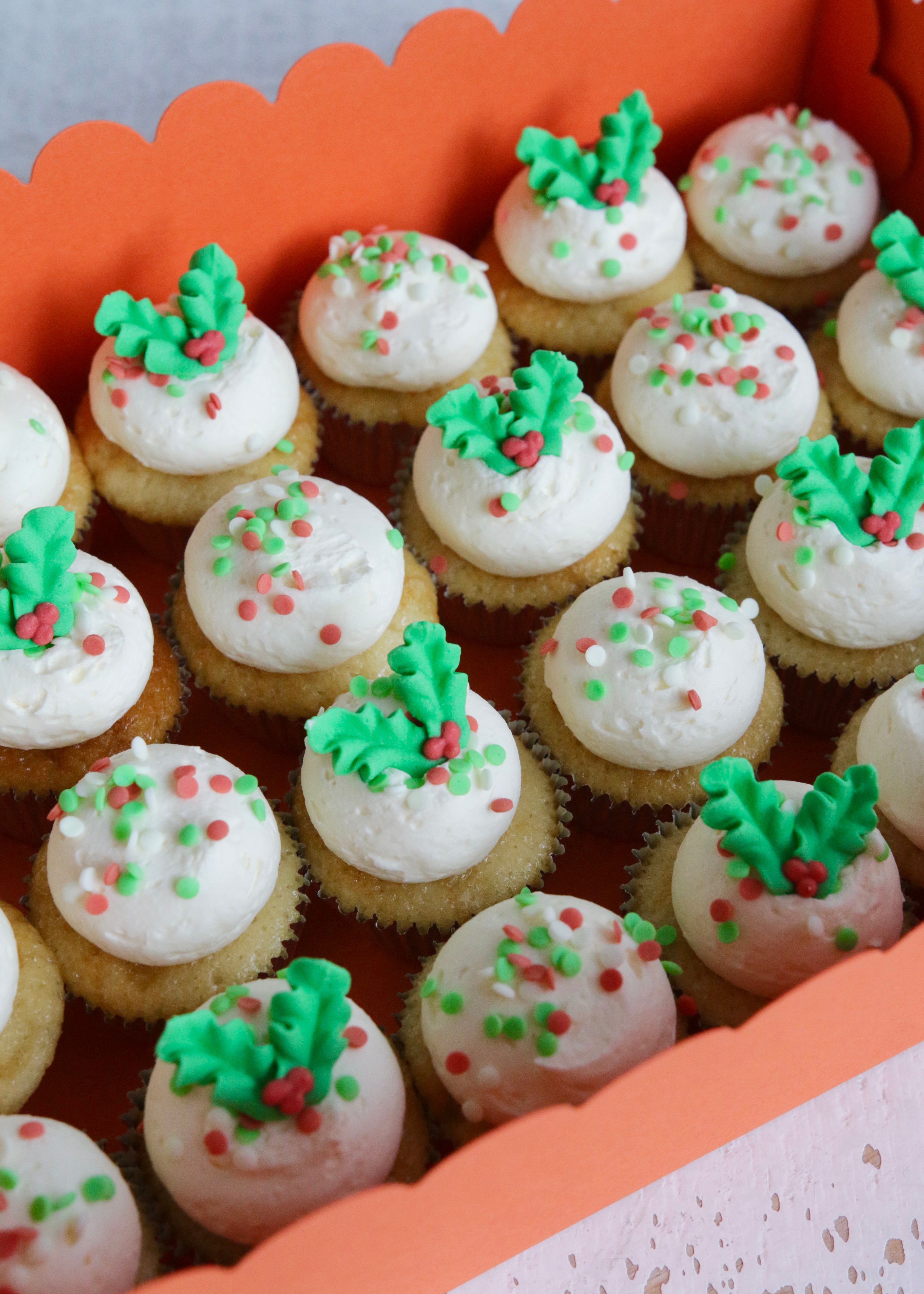 Close Up on Box of 24 Vanilla Mini Christmas Cupcakes with Sprinkles and Holly Decorations