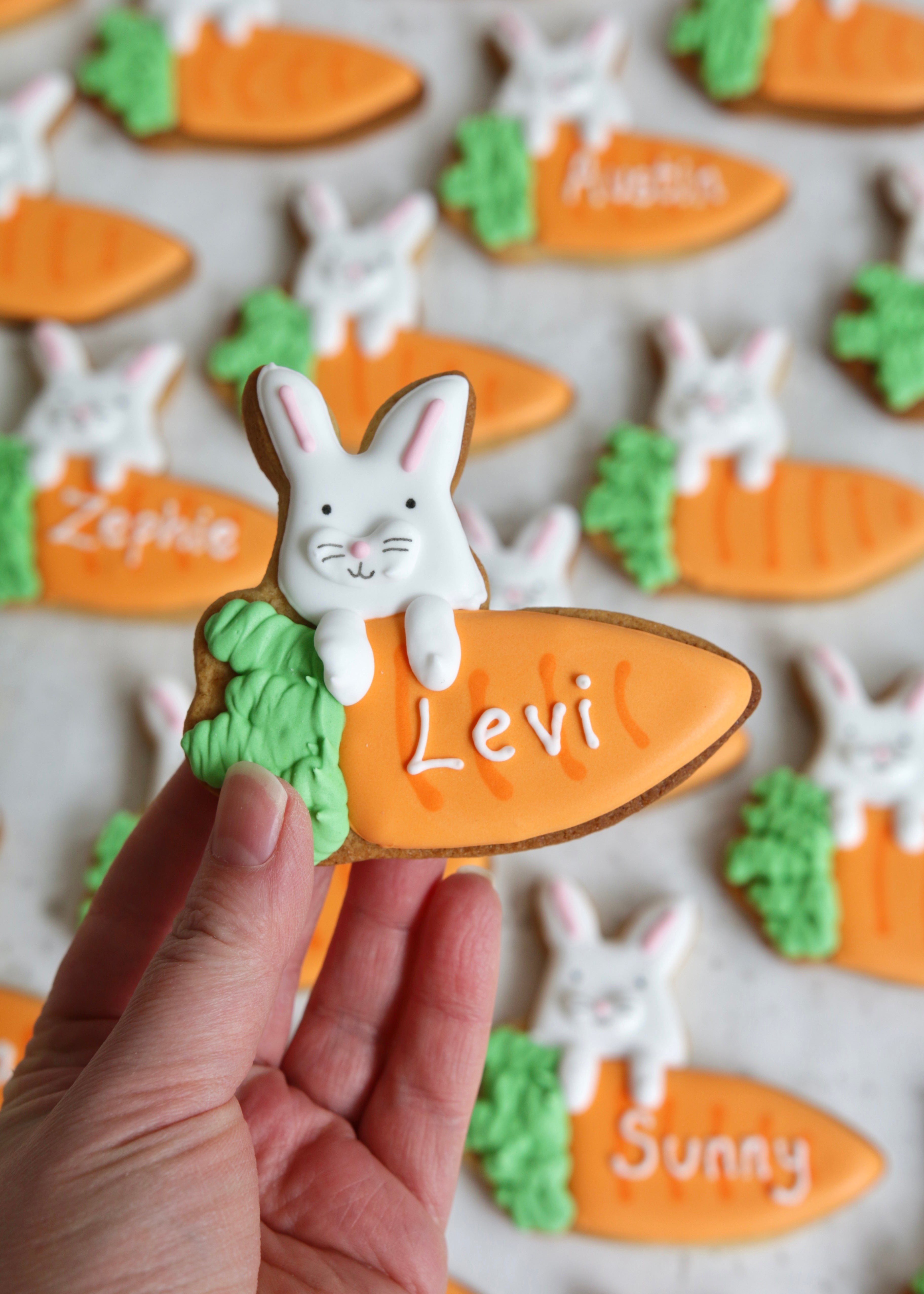 Easter Bunny & Carrot Biscuits