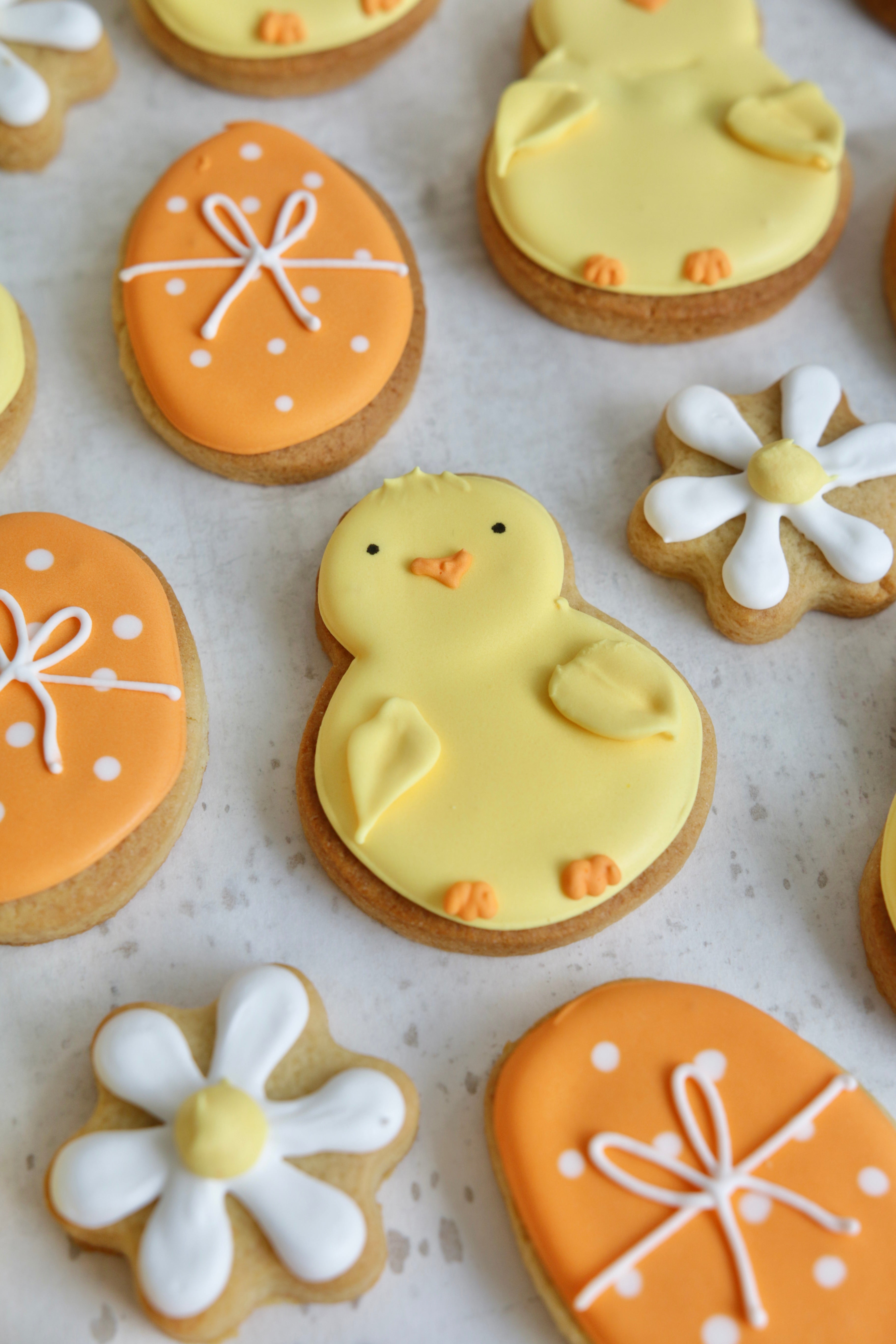Spring Chick Biscuit Set