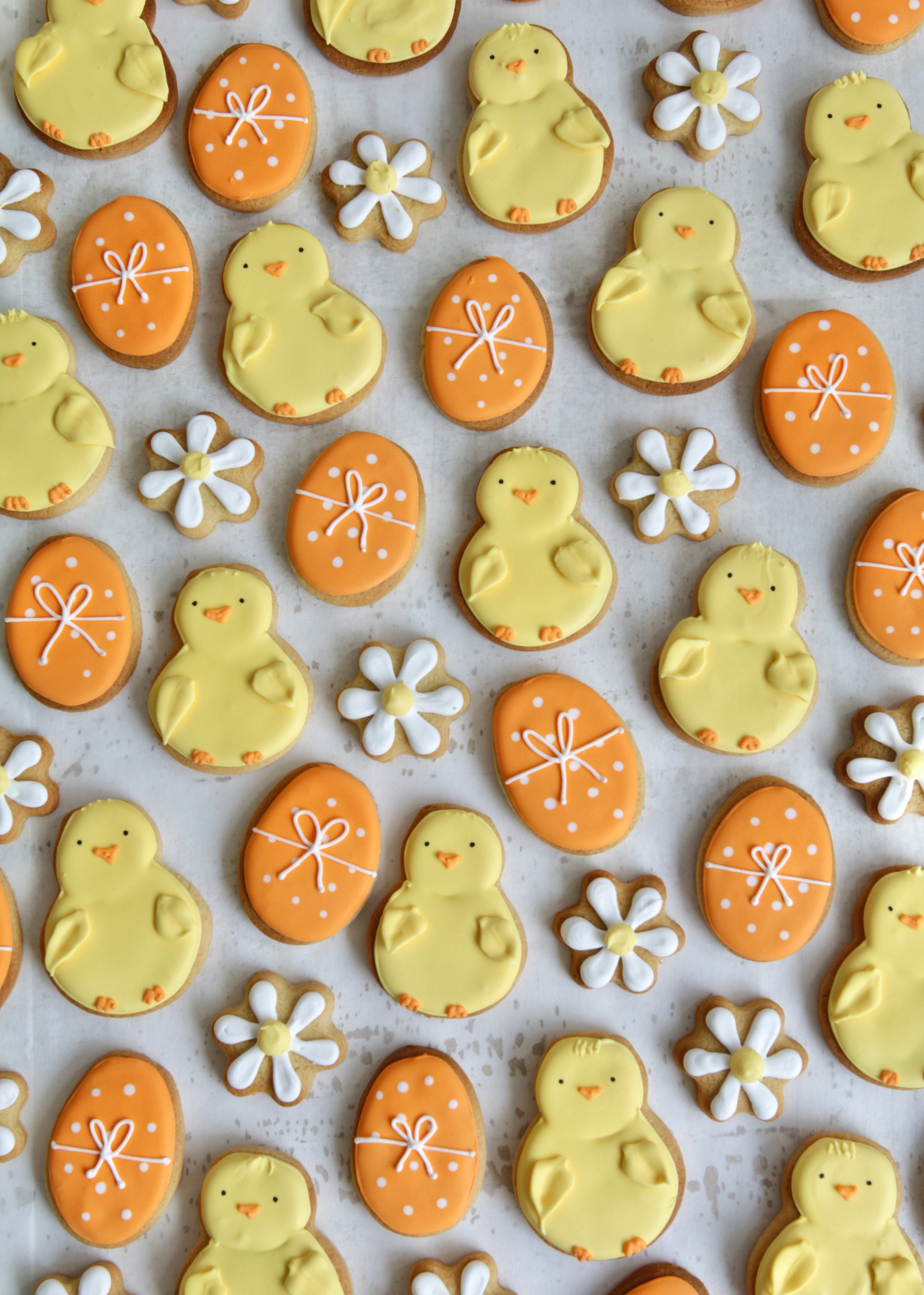 Spring Chick Biscuit Set