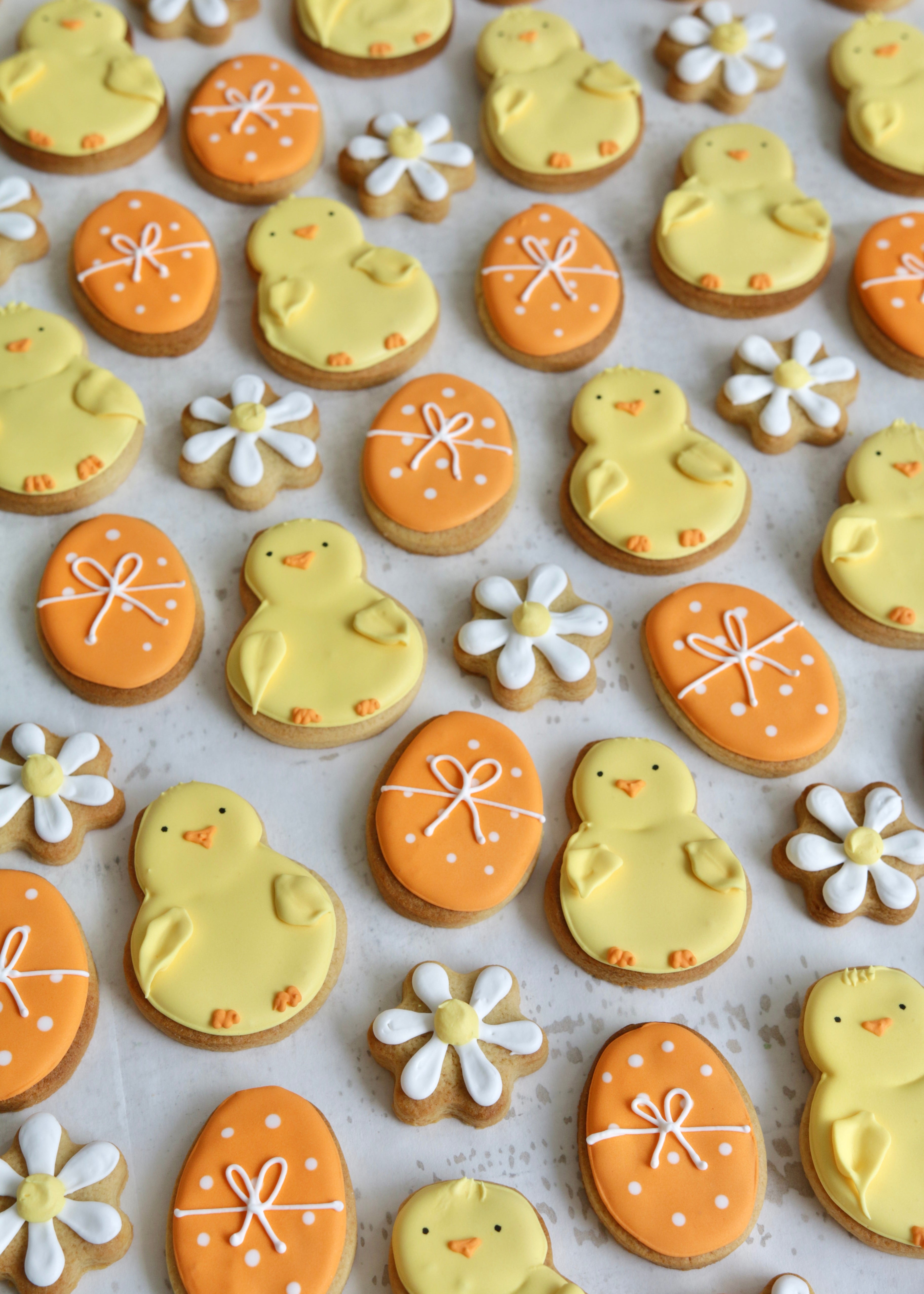 Spring Chick Biscuit Set