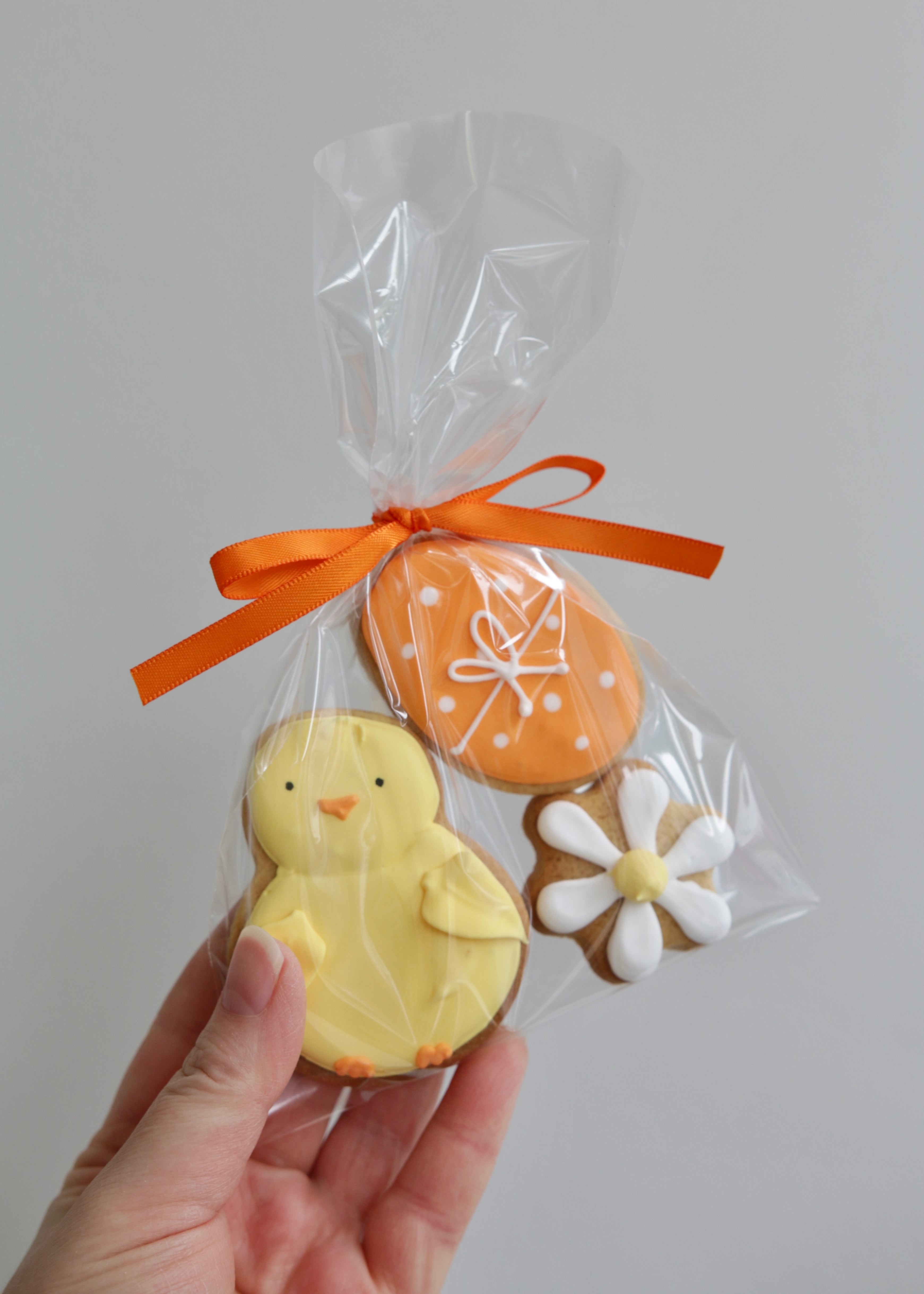 Spring Chick Biscuit Set