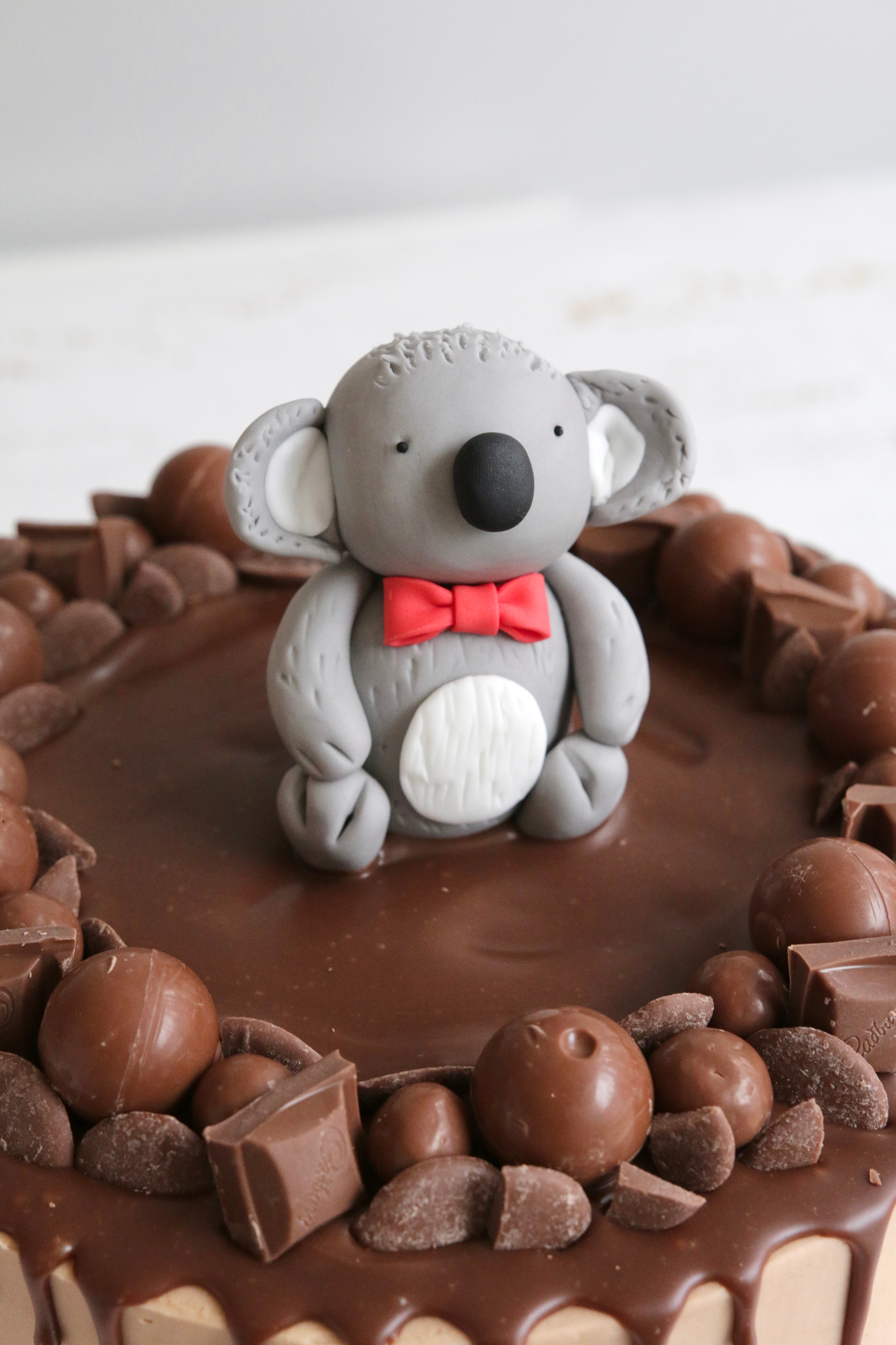 Close Up on Koala Cake Decoration in a red bow tie