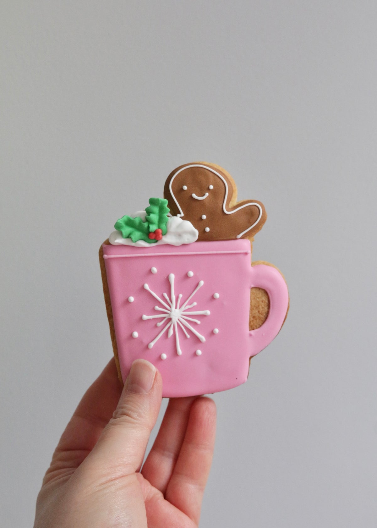 Merry Mug Biscuits