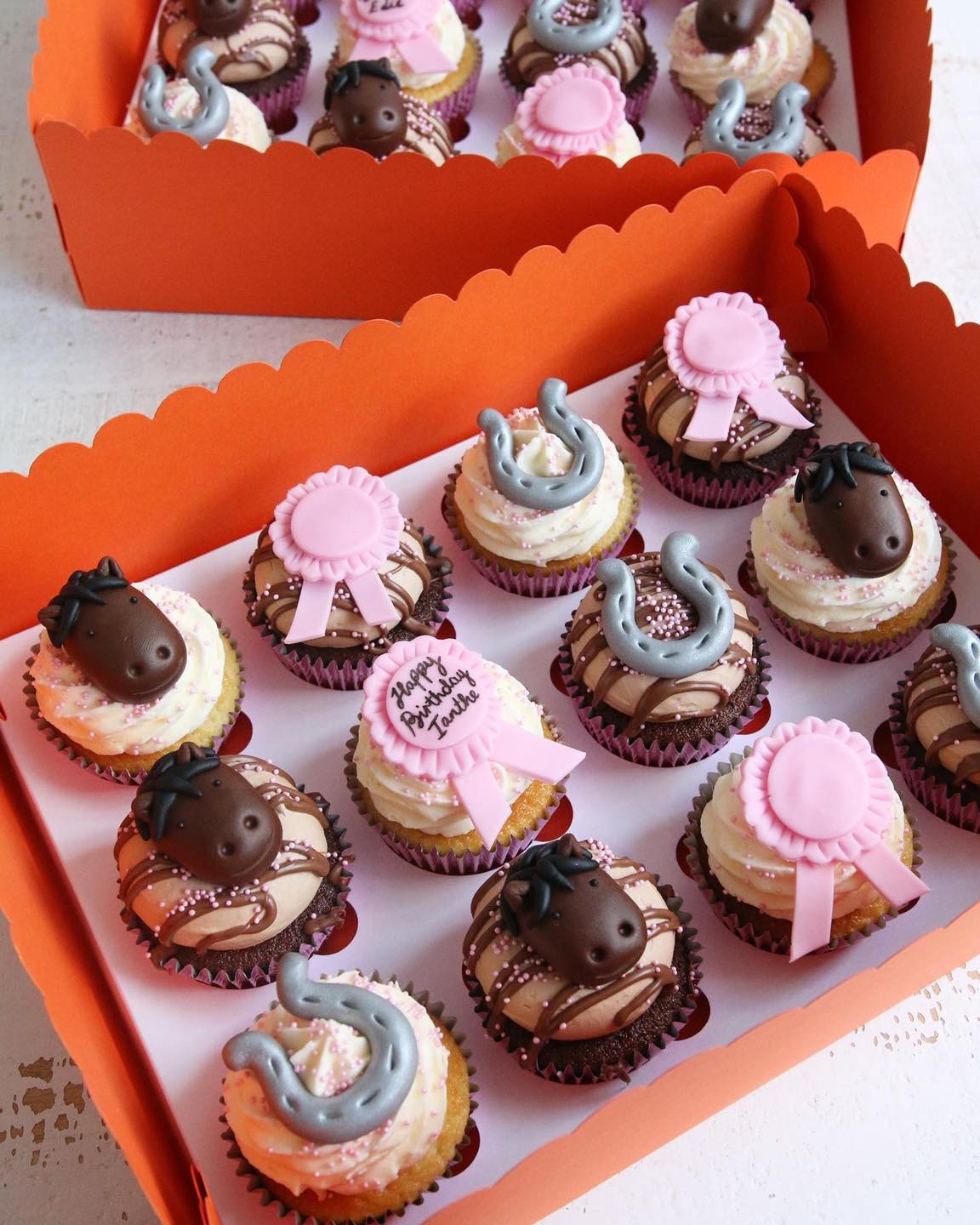 Box of Horse Themed Cupcakes with Horses, Horseshoes , Pink Rosettes and Birthday Message