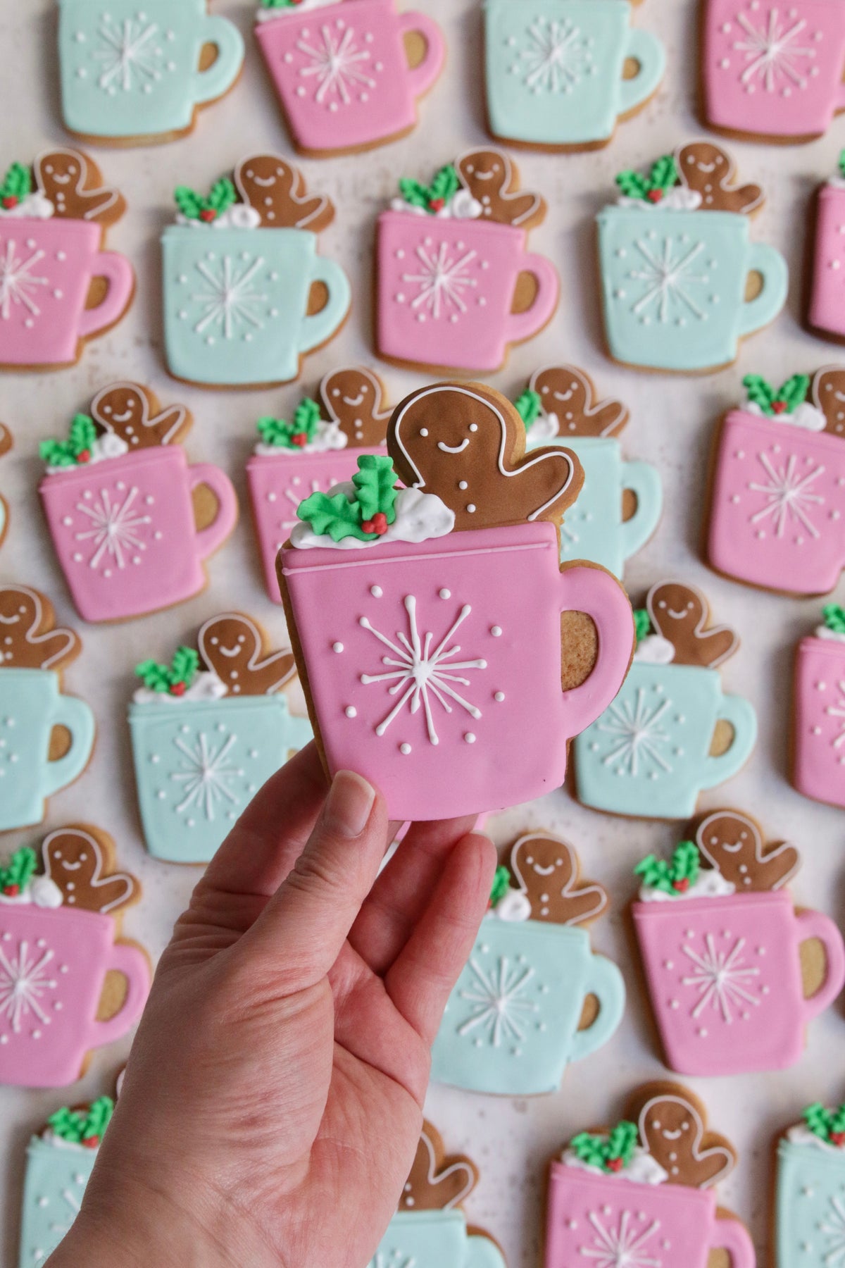 Merry Mug Biscuits