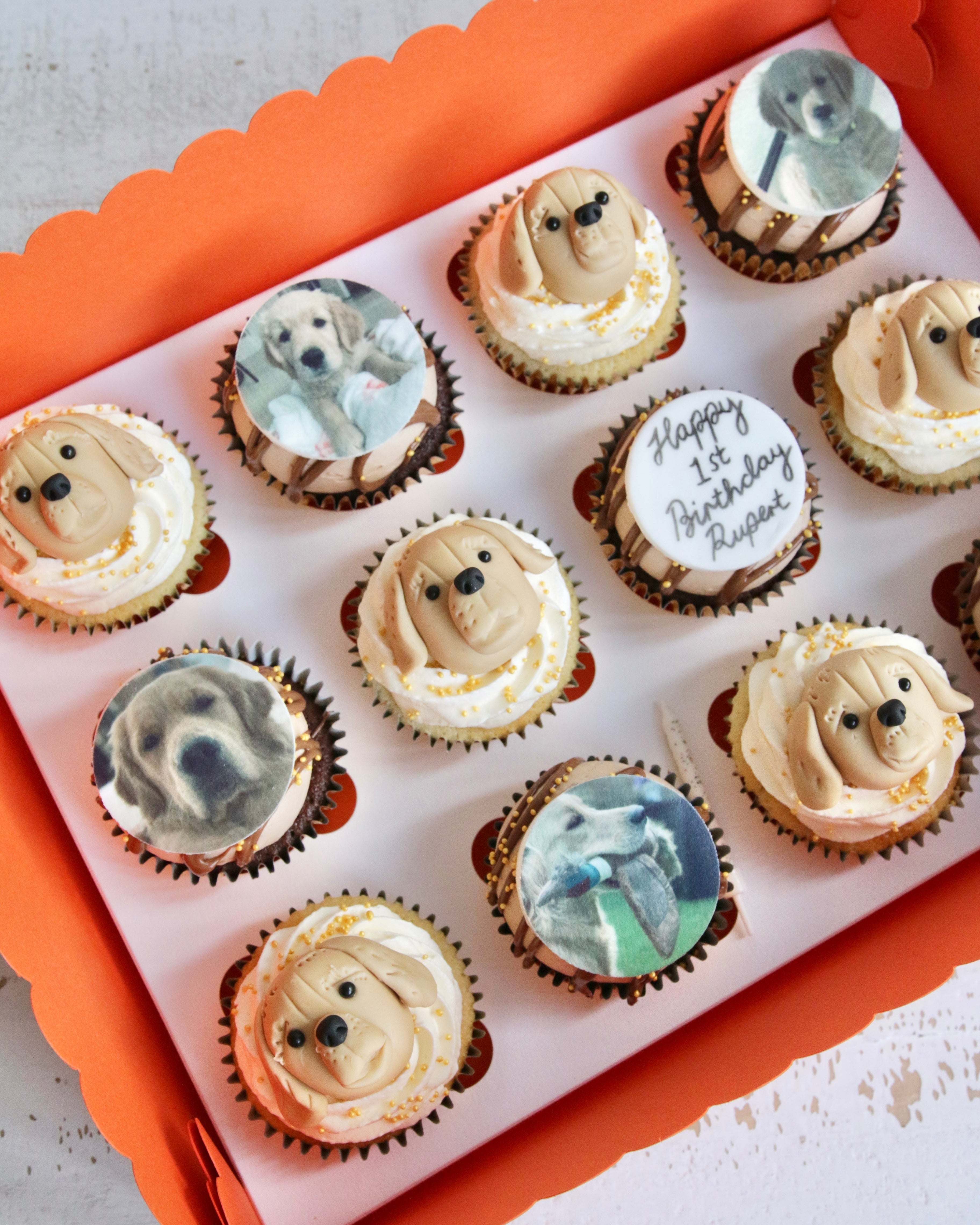Birthday cupcakes with fondant golden retriever heads and photos of dog