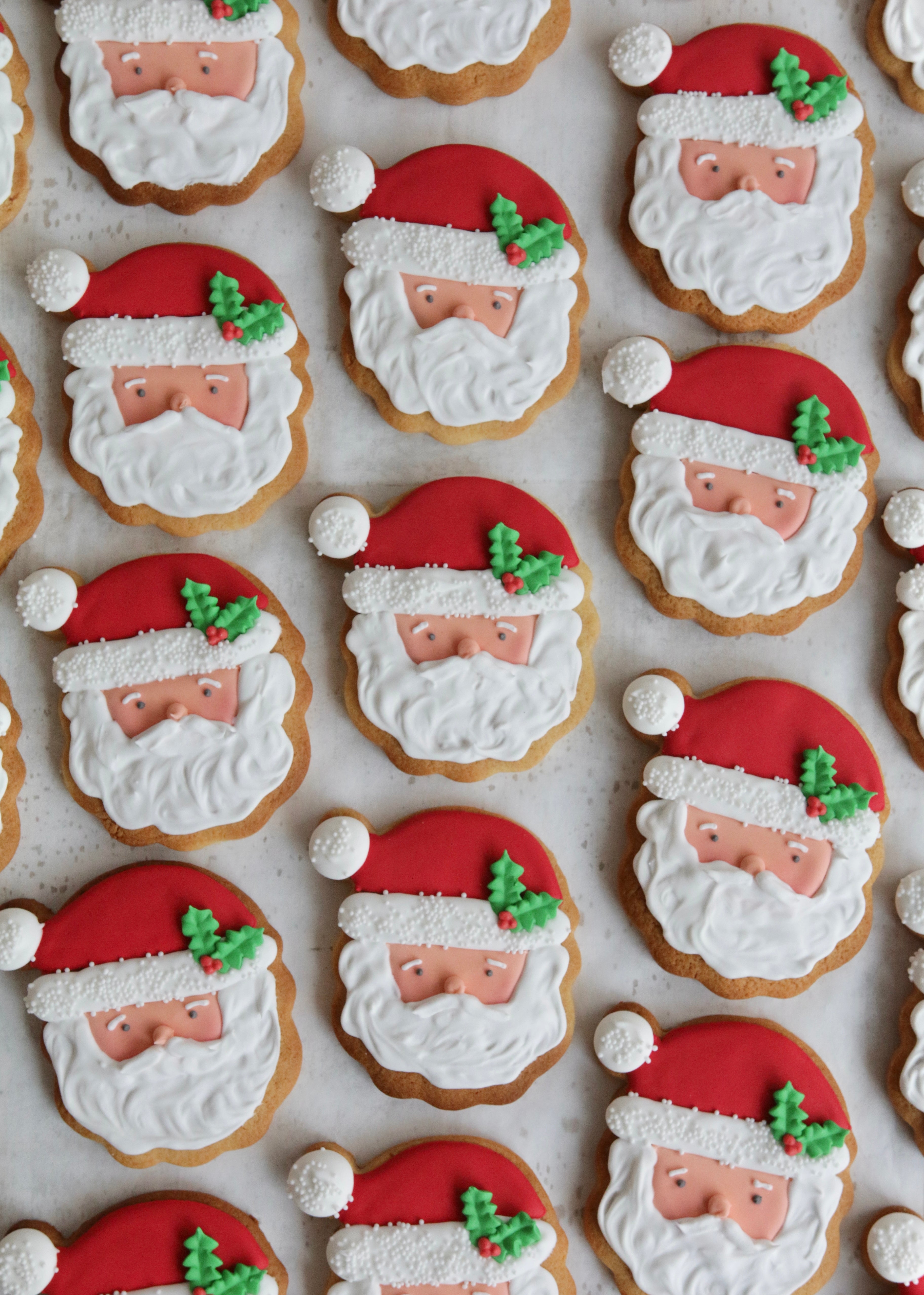 Santa Biscuits Angle Close Up