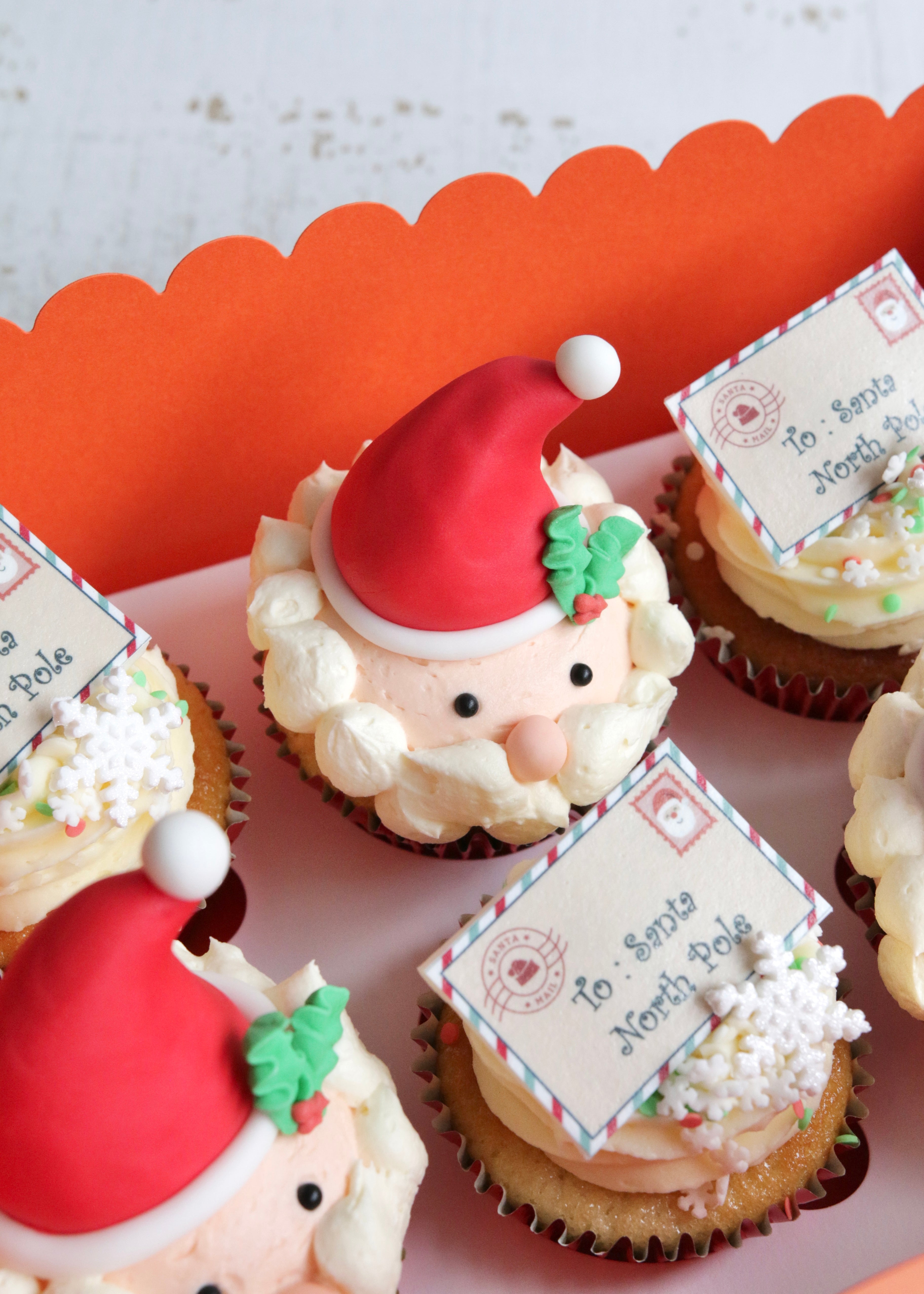 Box of Cupcakes with Close Up on one Decorated with Santa Head