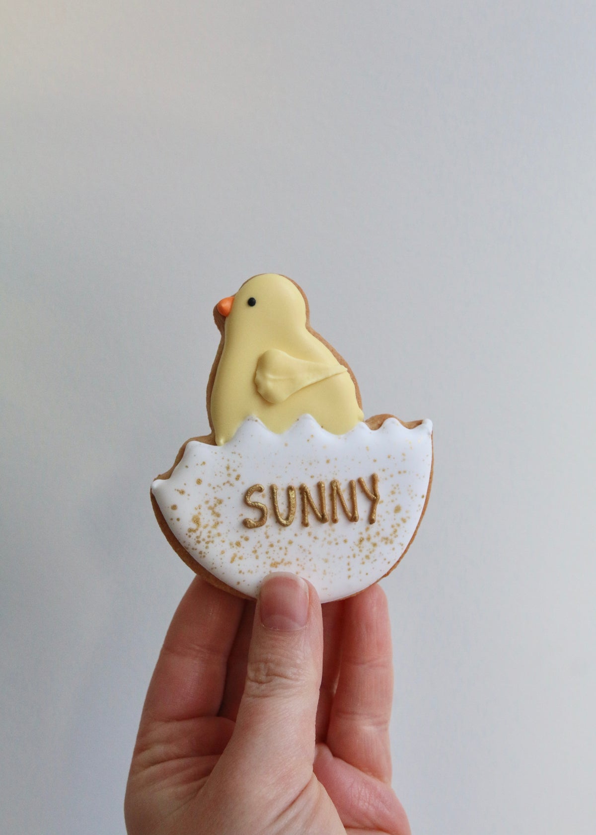 Cheerful Easter Chick Biscuits