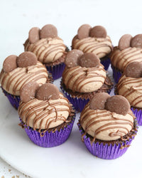 Double Chocolate Cupcakes